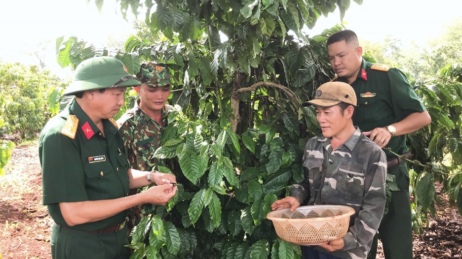 Đôi nét về cà phê Gia Lai