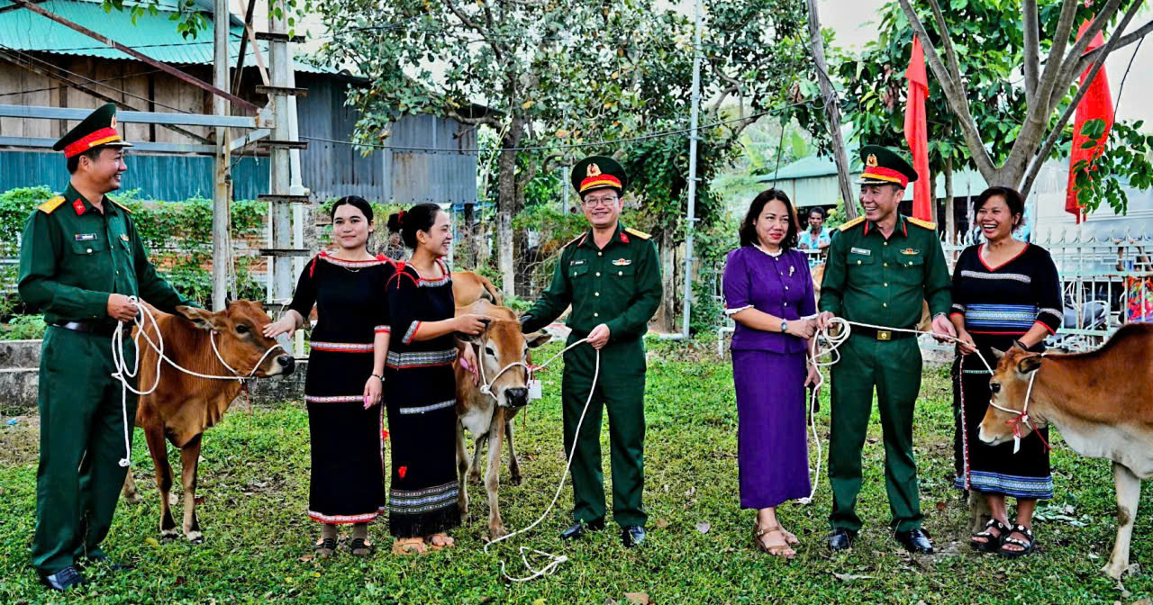 Đoàn KT-QP 717 bàn giao bò giống sinh sản hỗ trợ sinh kế cho 43 hộ dân tộc thiểu số tại các xã biên giới tỉnh Gia Lai.